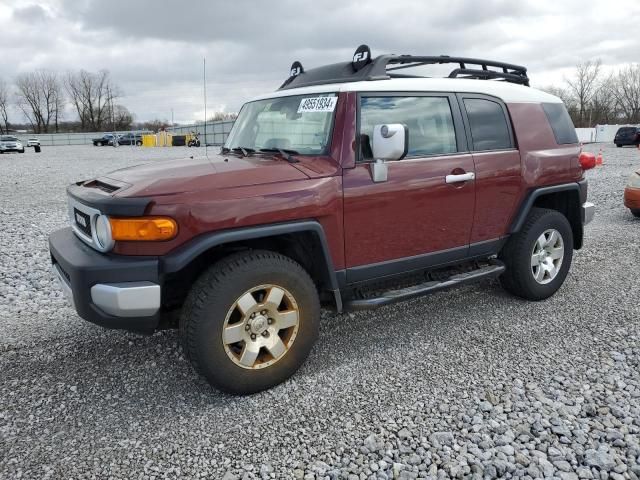 2010 Toyota FJ Cruiser