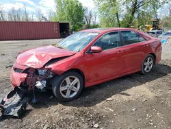 Toyota salvage cars for sale: 2014 Toyota Camry L