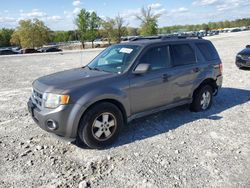 Vehiculos salvage en venta de Copart Loganville, GA: 2012 Ford Escape XLT