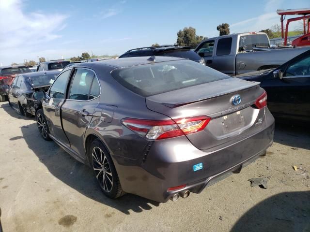 2019 Toyota Camry Hybrid