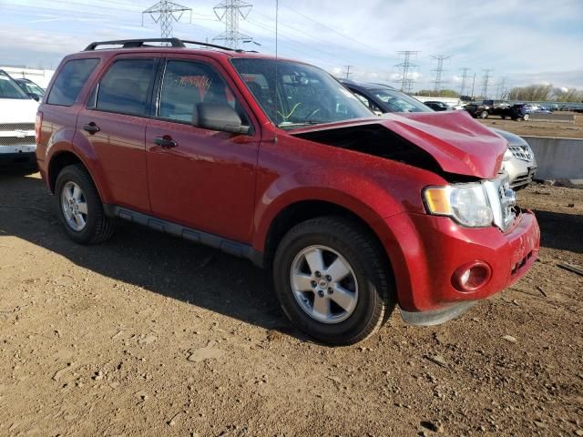 2011 Ford Escape XLT