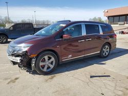 Salvage cars for sale at Fort Wayne, IN auction: 2019 Honda Odyssey EXL