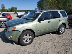 Salvage cars for sale at Arlington, WA auction: 2009 Ford Escape Hybrid