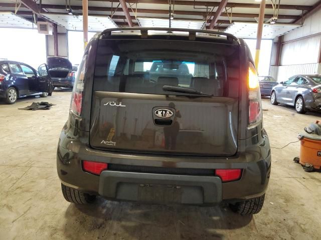 2010 KIA Soul +