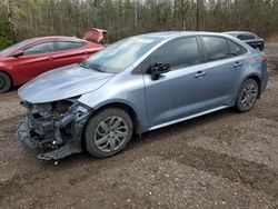 Salvage cars for sale from Copart Bowmanville, ON: 2021 Toyota Corolla LE