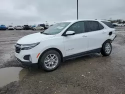 Salvage cars for sale from Copart Indianapolis, IN: 2023 Chevrolet Equinox LT
