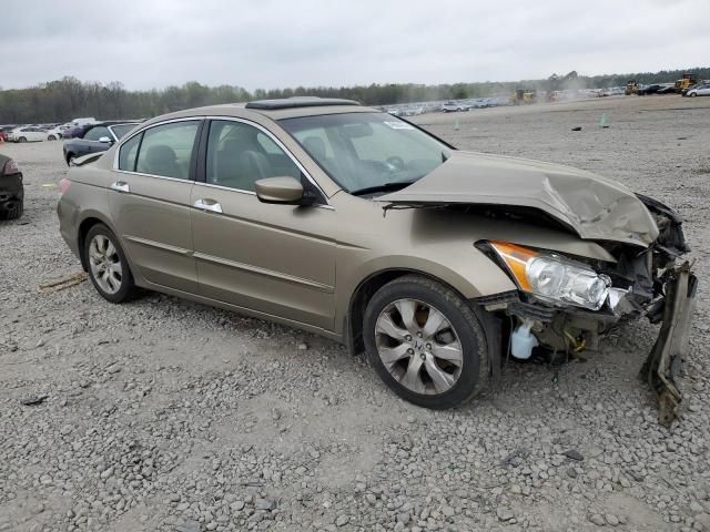 2010 Honda Accord EXL