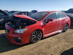 Salvage cars for sale at Brighton, CO auction: 2017 Subaru WRX