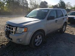 Ford Escape XLT salvage cars for sale: 2008 Ford Escape XLT