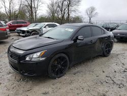 Salvage cars for sale at Cicero, IN auction: 2012 Nissan Maxima S