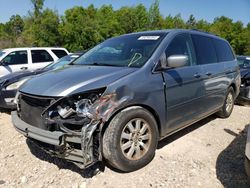 Honda salvage cars for sale: 2010 Honda Odyssey EXL