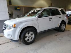 Ford Escape XLT salvage cars for sale: 2012 Ford Escape XLT