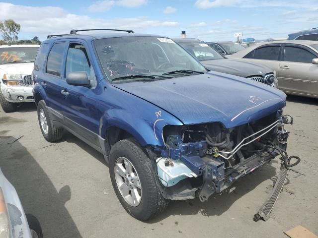 2007 Ford Escape XLT