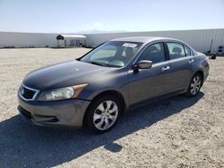 Salvage cars for sale at Adelanto, CA auction: 2009 Honda Accord EXL