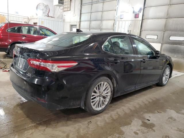 2019 Toyota Camry Hybrid