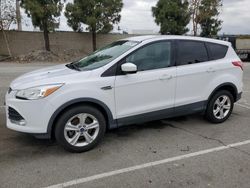 Salvage cars for sale from Copart Rancho Cucamonga, CA: 2016 Ford Escape SE