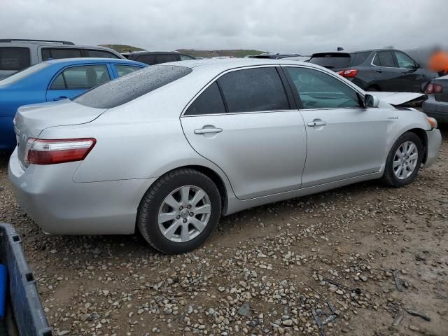 2008 Toyota Camry Hybrid