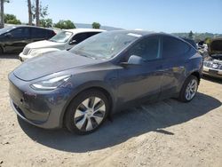 Tesla Model y Vehiculos salvage en venta: 2021 Tesla Model Y