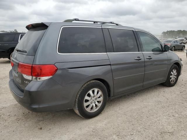 2010 Honda Odyssey EXL