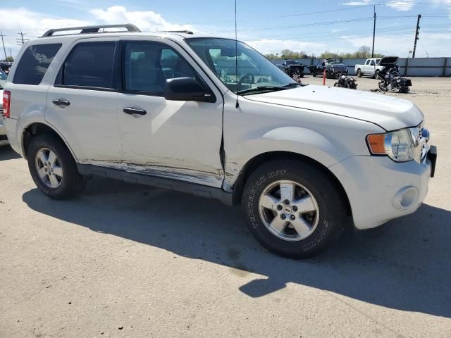 2010 Ford Escape XLT