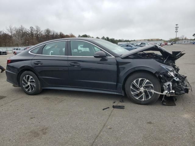 2020 Hyundai Sonata Hybrid