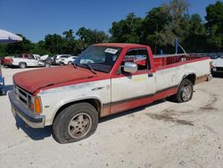 Salvage trucks for sale at Ocala, FL auction: 1987 Dodge Dakota