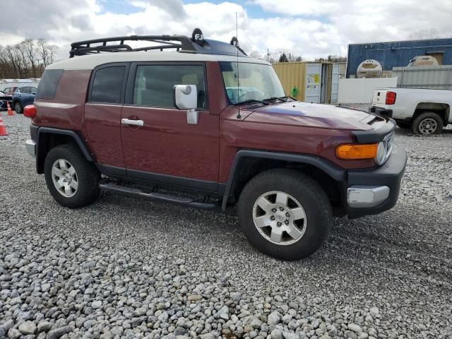 2010 Toyota FJ Cruiser