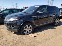 Salvage cars for sale at Elgin, IL auction: 2013 Land Rover Range Rover Evoque Pure Plus