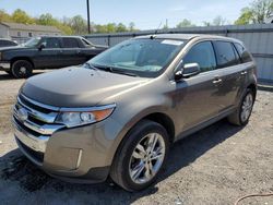 Salvage cars for sale at York Haven, PA auction: 2013 Ford Edge Limited
