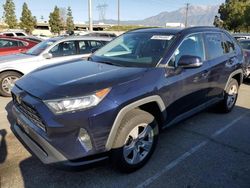 Salvage cars for sale at Rancho Cucamonga, CA auction: 2021 Toyota Rav4 XLE