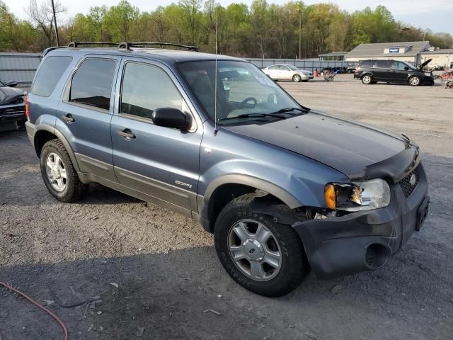 2001 Ford Escape XLT