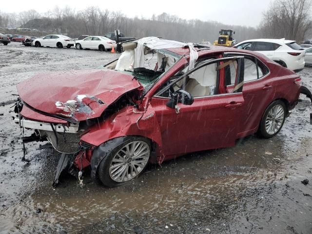 2020 Toyota Camry XLE