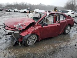 Salvage cars for sale at Marlboro, NY auction: 2020 Toyota Camry XLE