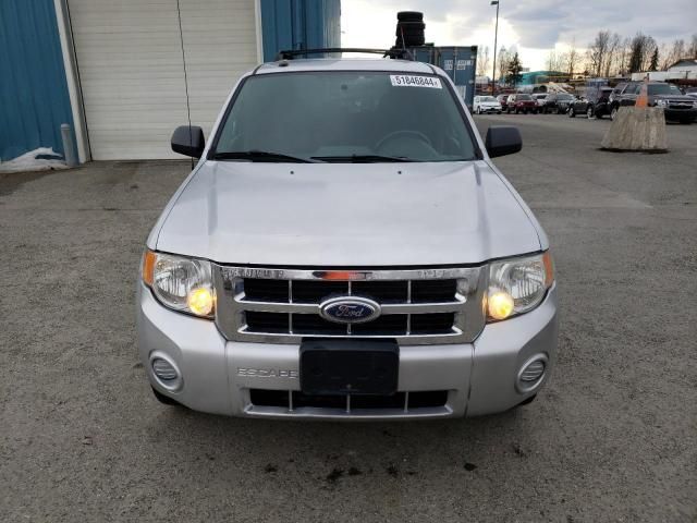 2009 Ford Escape XLT