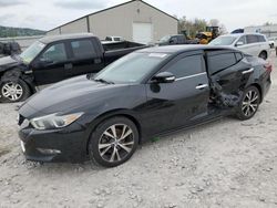 Salvage cars for sale at Lawrenceburg, KY auction: 2016 Nissan Maxima 3.5S