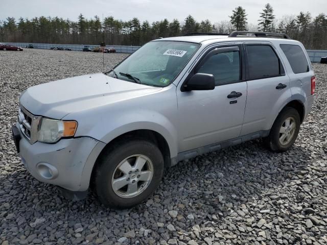 2011 Ford Escape XLT