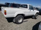 1986 Toyota Pickup Turbo