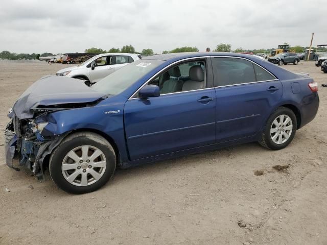 2009 Toyota Camry Hybrid