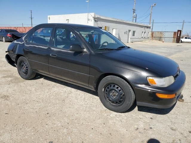 1995 Toyota Corolla LE