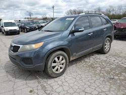 KIA Sorento Vehiculos salvage en venta: 2011 KIA Sorento Base