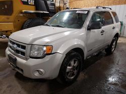 Salvage cars for sale from Copart Anchorage, AK: 2008 Ford Escape XLT