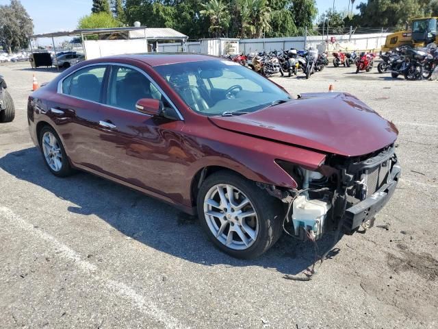 2010 Nissan Maxima S