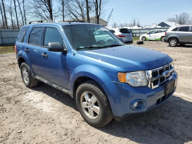 2010 Ford Escape XLT