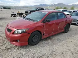 Toyota salvage cars for sale: 2009 Toyota Corolla Base