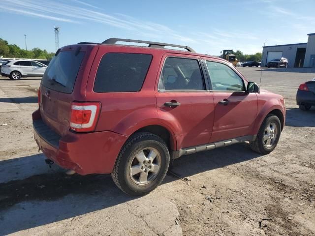 2009 Ford Escape XLT