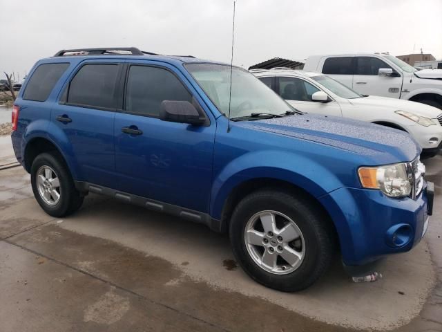 2012 Ford Escape XLS