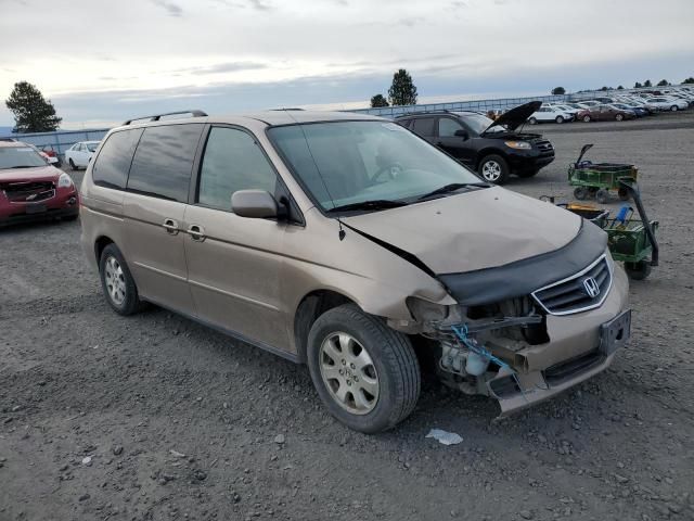 2004 Honda Odyssey EXL