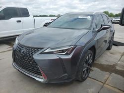 Salvage cars for sale at Grand Prairie, TX auction: 2020 Lexus UX 200