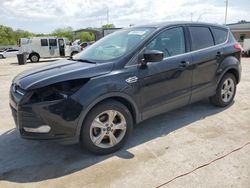 Salvage cars for sale at Lebanon, TN auction: 2016 Ford Escape SE