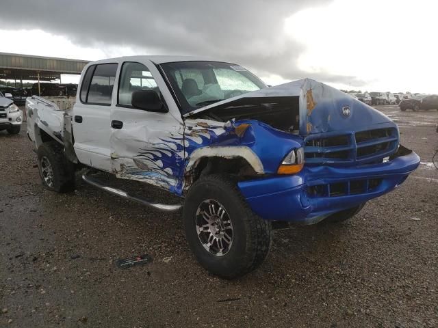 2001 Dodge Dakota Quattro